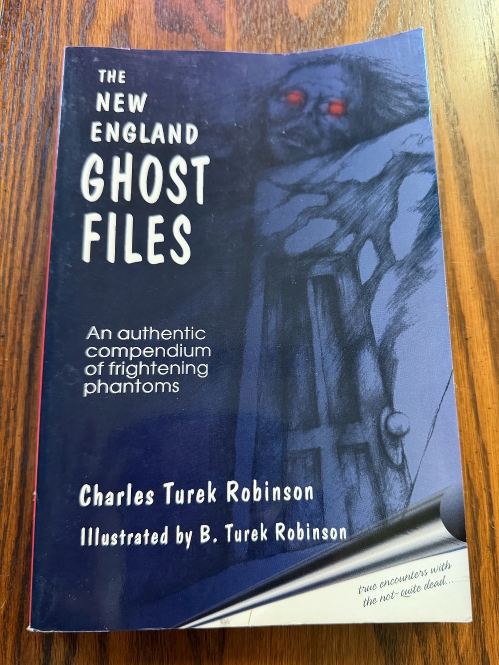 The New England Ghost Files - Robinson, Charles Turek